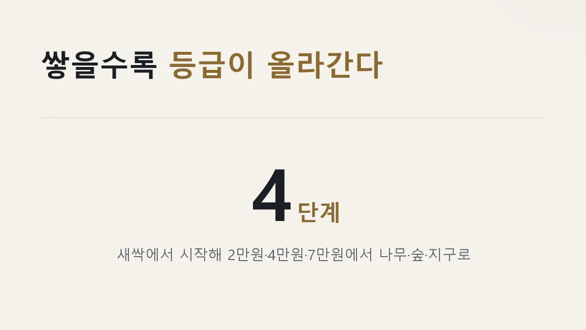 탄소중립포인트 등급 새싹 나무 숲 지구 네 단계