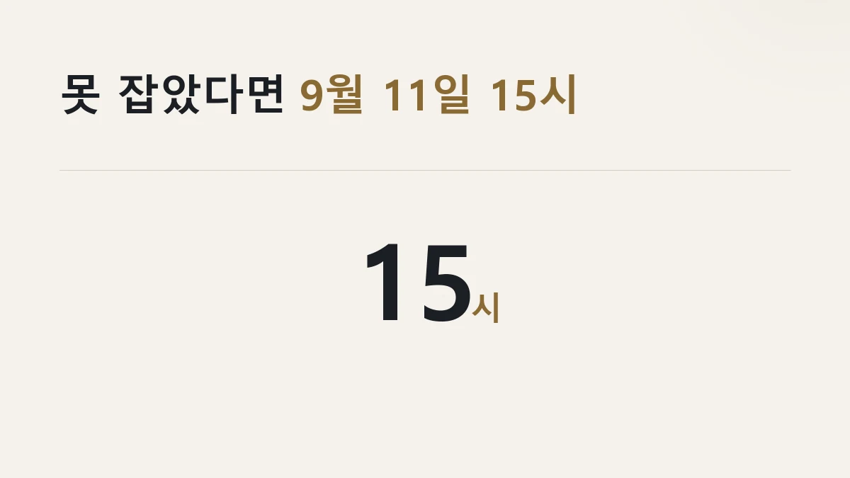 예매에 실패해도 9월 11일 15시부터 잔여석을 상시 살 수 있다는 것을 정리한 그림
