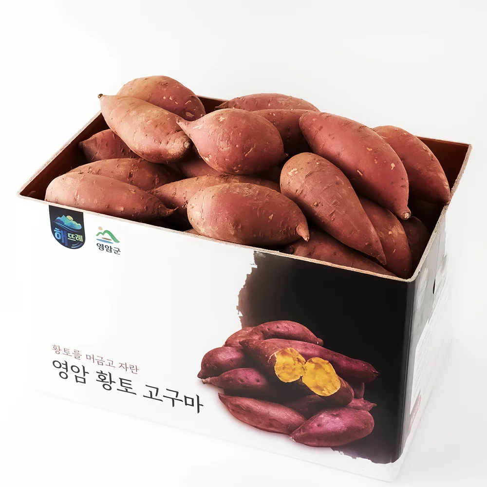 해뜨레 영암 꿀고구마
