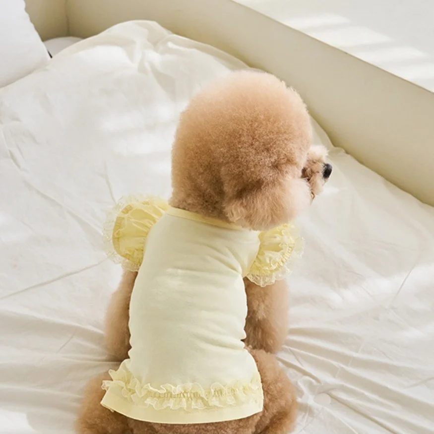 레드퍼피 반려동물 신데렐라 원피스