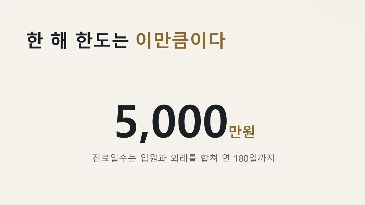 재난적의료비 연간 한도 5천만원과 진료일수 180일
