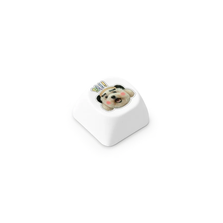 [02828] 서리 헉!! 키보드 키캡