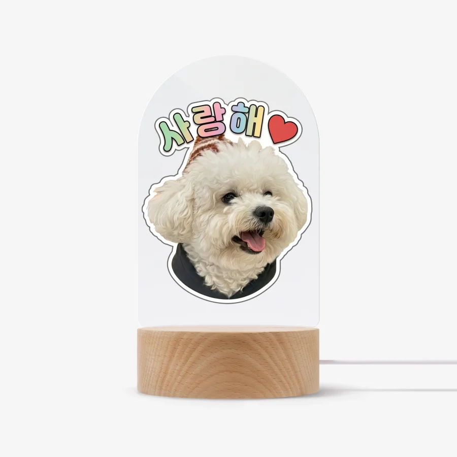 [02872] 서리 무드등