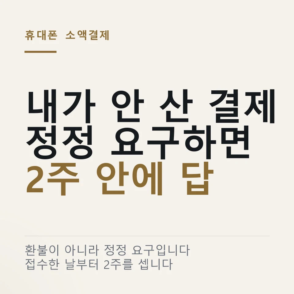 "내가 산 적이 없는데요" 휴대폰 소액결제 정정 요구 2주 처리