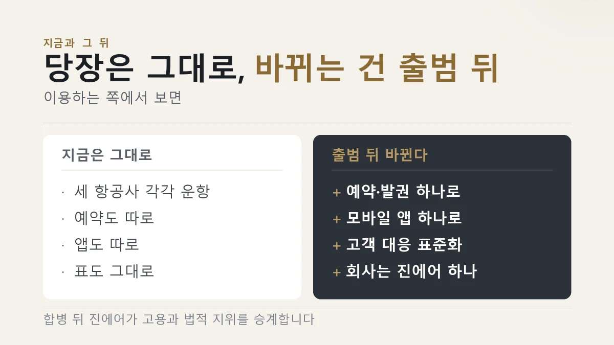 진에어를 1로 놓았을 때 에어부산과 에어서울의 합병 비율을 정리한 그림