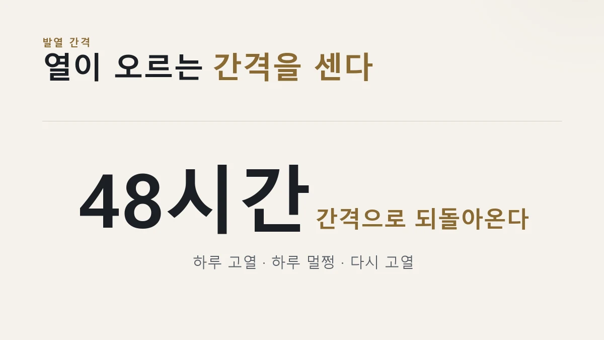 말라리아 48시간 간격 발열 카드