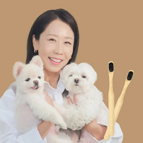 강아지 칫솔 부드러운 미세모 반려견 치석관리 대나무 애견칫솔 5개