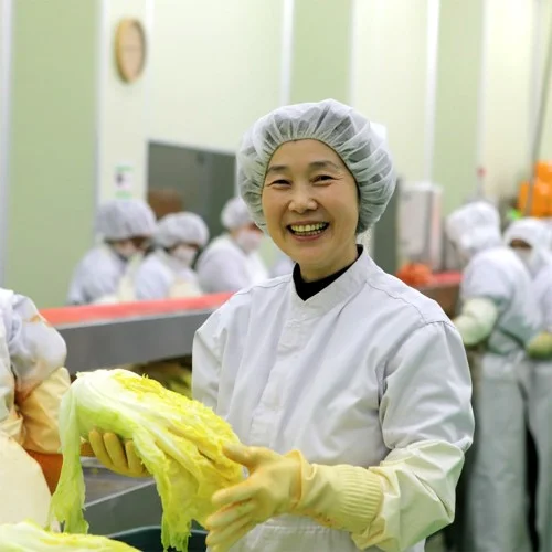 강원도 고랭지 절임배추 절인배추 영월 고냉지 열정농부 10kg