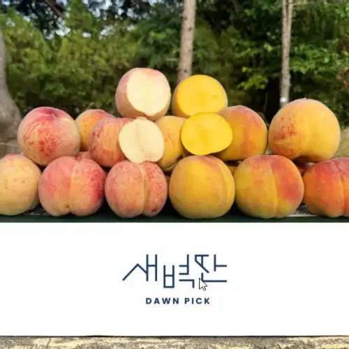 (농할20%) 경북 백도 황도 말랑이 딱딱이 복숭아 2kg 4kg