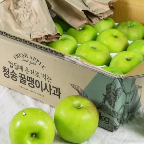 사과 청송 경북 부사 아오리 썸머킹 여름사과 고당도 꿀땡이사과 꿀사과 3kg 5kg
