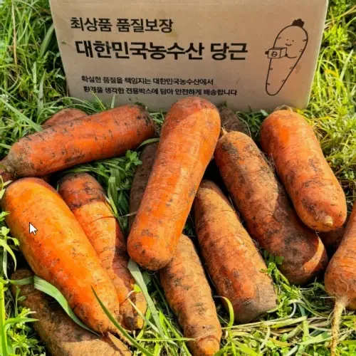 국내산 햇 당근 흙 주스용 쥬스용