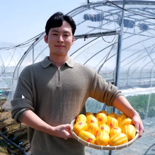 성주참외 참외 꼬마 못난이참외 10kg