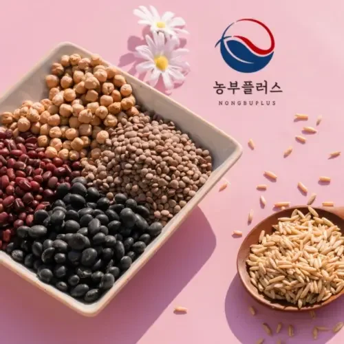 렌틸콩 병아리콩 귀리 서리태 찰수수 찰기장 찰녹미 현미 잡곡 흑미 [농부플러스]