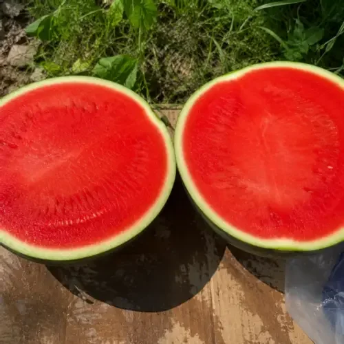 씨없는 수박 가정용 카페 주스용 꿀 흑수박 5kg 내외