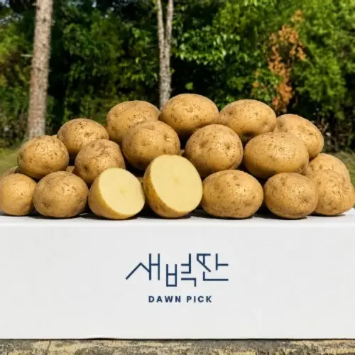 (농할20%) 26년 수확 강원도 두백감자 2kg 5kg