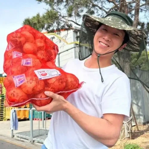 26년 양파 햇양파 무안양파 단단한 국내산 3kg 5kg 15kg