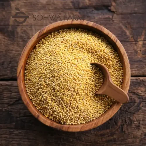 2026년 국산 햇 기장쌀 1kg 노란 좁쌀 찰기장