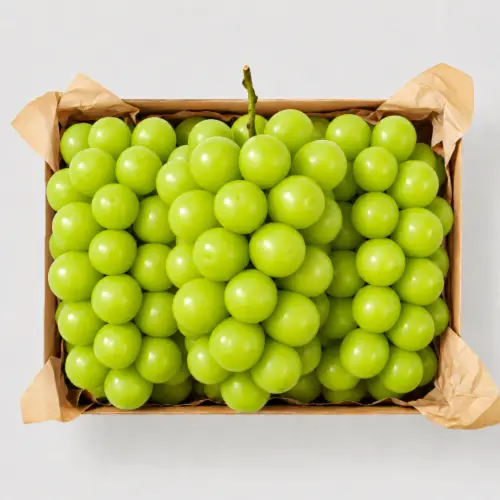 [농할쿠폰]수출용 샤인머스캣 김천 GAP 샤인머스켓 1.5kg 2kg 4kg