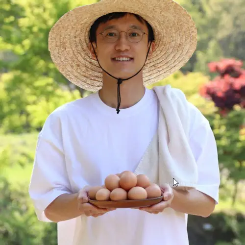난각번호1번 계란 유정란 자연방사 동물복지 무항생제 방목 달걀