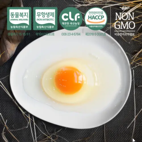 [구쁘 유정란] 우리가족 안심계란 옹알옹알(30구,40구)