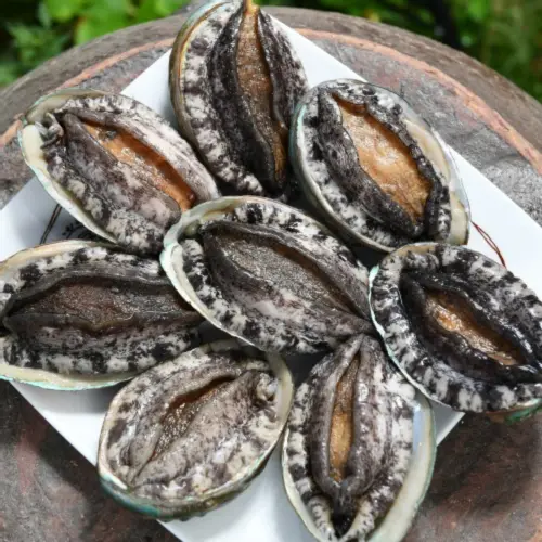 (전복 추석선물세트)완도1호 왕특대전복 2kg(1kg 6-7미) 선물포장