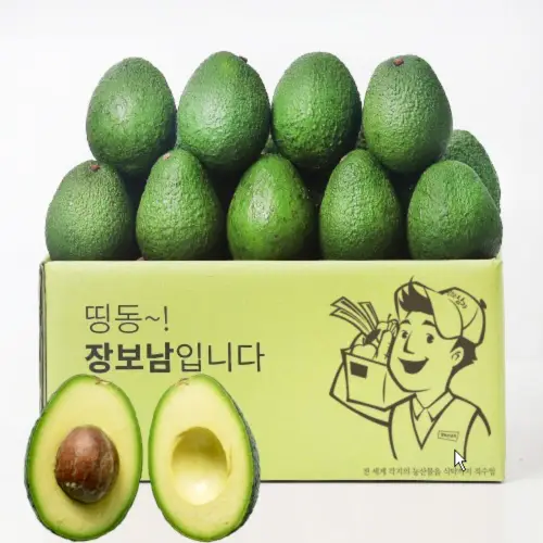 초신선 직수입 아보카도 생과