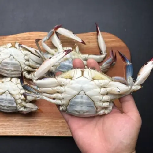 급냉 암꽃게 냉동 꽃게 급랭 암게 꽂개 햇꽃게 서해안 서해 인천 꽃개 1kg 간장게장 가을