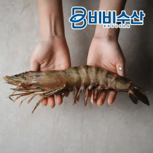 블랙타이거 킹타이거새우 1미 대왕새우 소금구이