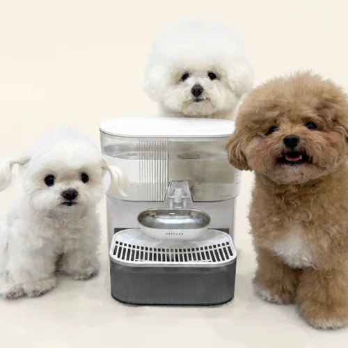 [07025] [순심이네x펫케어] 강아지 고양이 정수기 무선 플로우 자동 급수기 음수대 공구 (07.21-07.26)