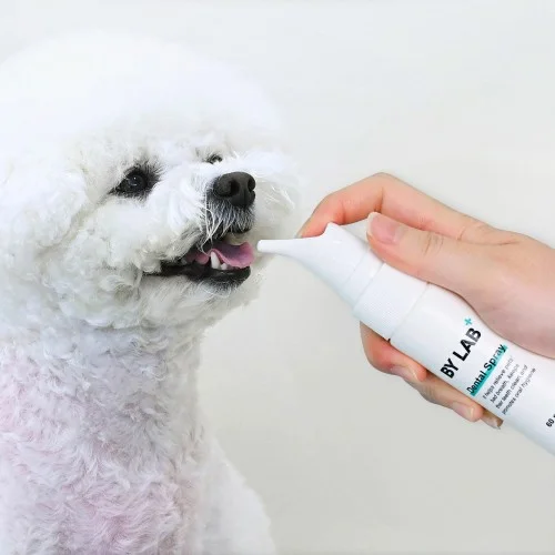 [07041] 바이랩 덴탈 스프레이 강아지 구강 입냄새 치석 제거 뿌리는 치약 치아관리 60ml, 1개