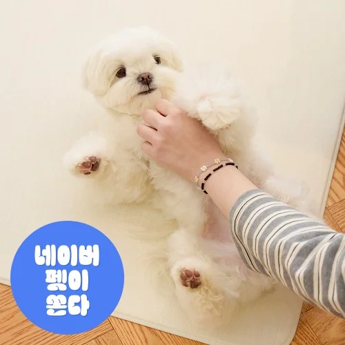 [07052] [러그140x180cm] 디팡 4mm 펫 미끄럼방지 강아지 고양이 애견매트 슬개골 반려견