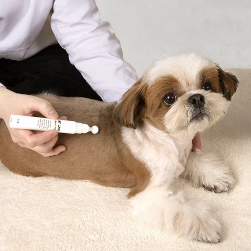 [07141] 바이랩 스킨케어 강아지 피부 연고 보습제 피부병 까짐 습진 각질 로션 15ml, 1개
