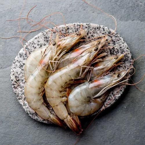 [07272] 페루새우 2kg 냉동 흰다리새우 에콰도르새우 급냉 대하구이