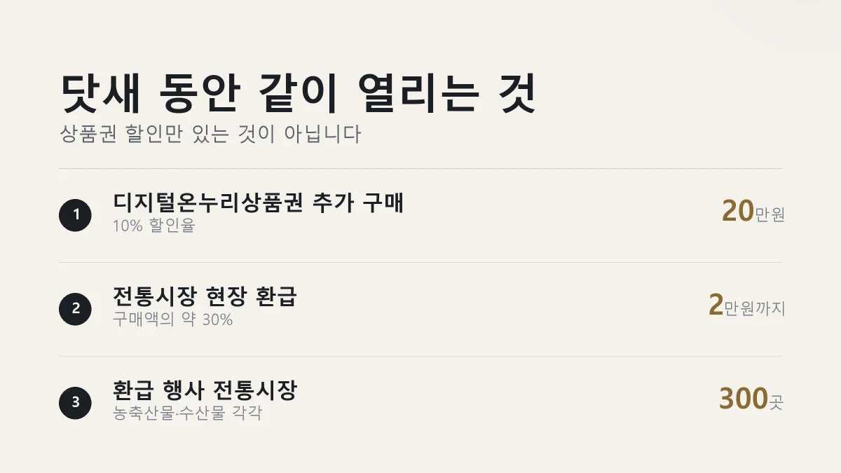 5일 동안 함께 열리는 세 가지 혜택을 정리한 그림