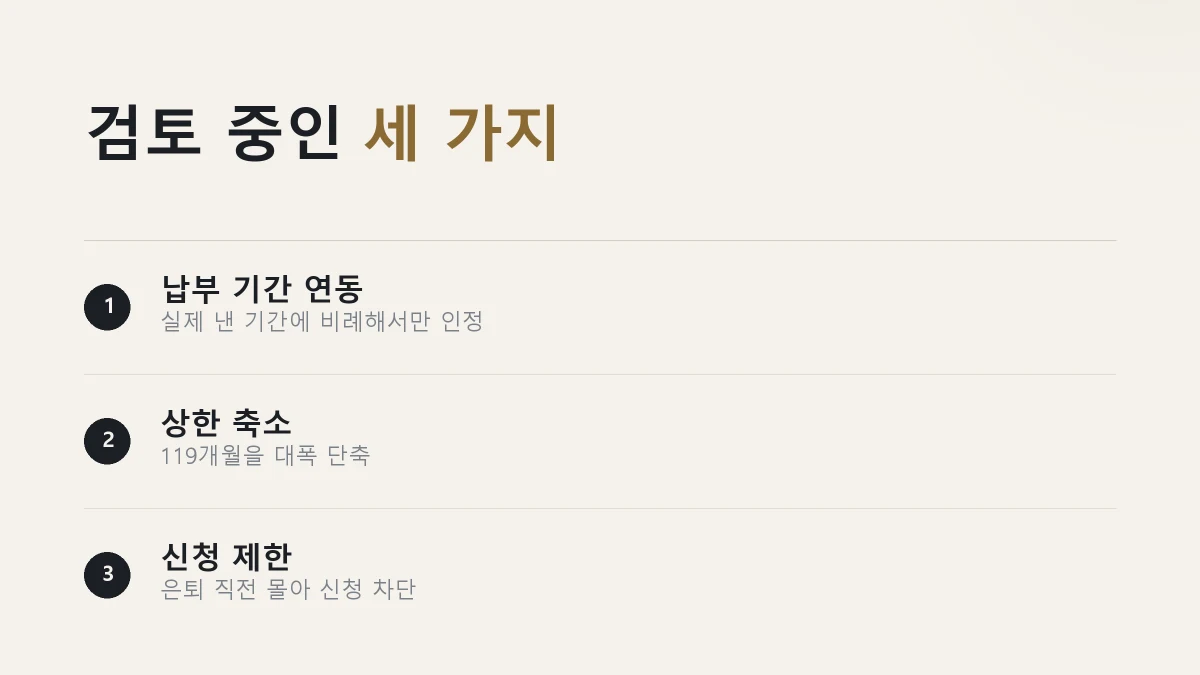 납부 기간 연동과 119개월 상한 축소, 신청 시점 제한 세 가지가 검토되고 있다는 것을 정리한 그림