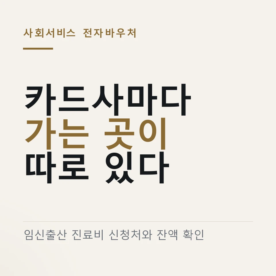 임신출산 진료비 카드사마다 신청처가 다릅니다 "쓰는 법도 갈립니다"