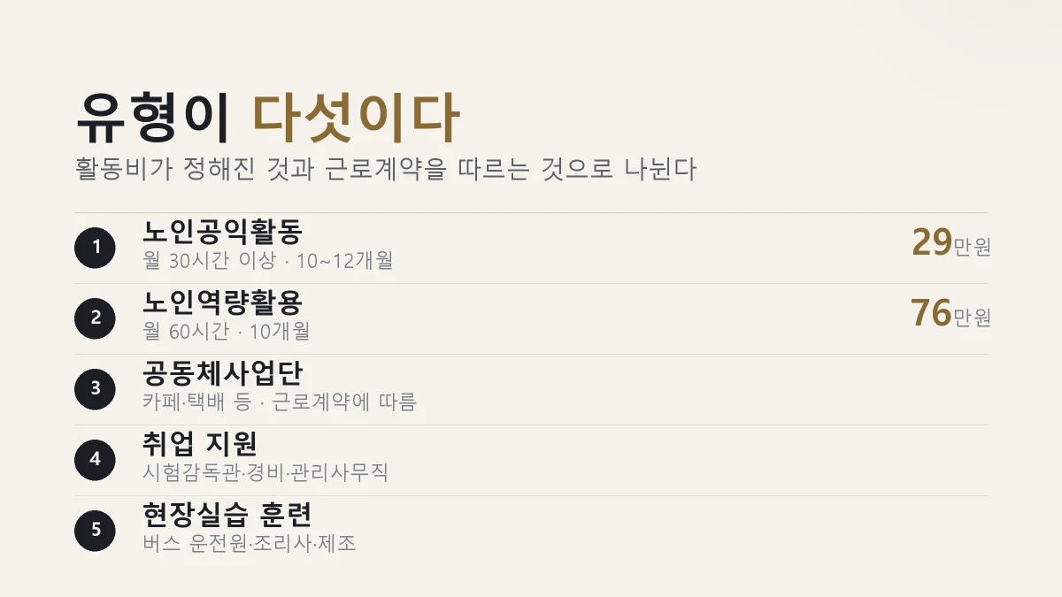 노인일자리 유형 5가지 공익활동 역량활용 공동체사업단 취업지원 현장실습