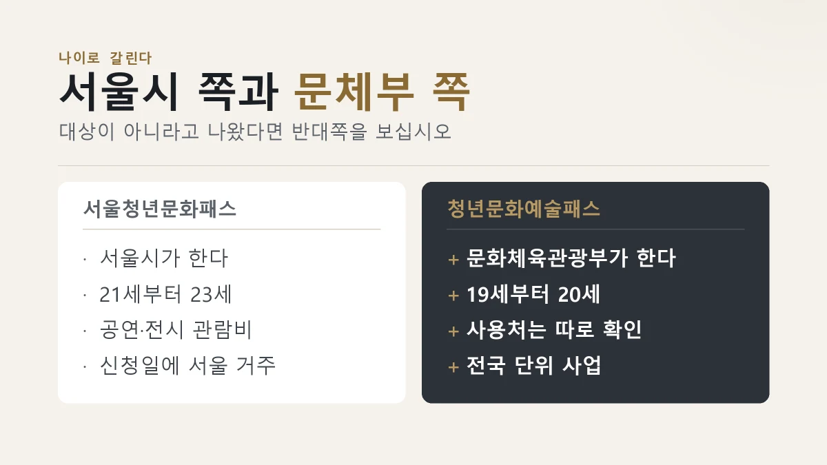 서울청년문화패스와 청년문화예술패스 비교 카드