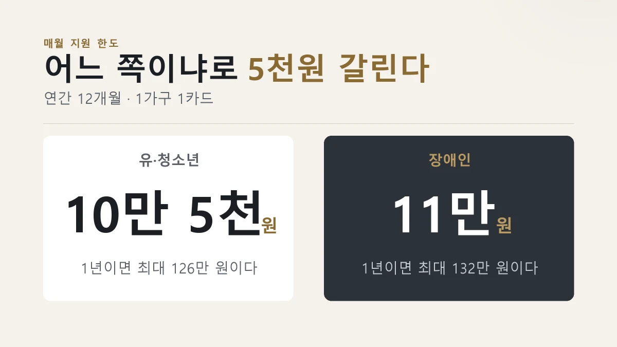 유청소년과 장애인 지원 금액 비교