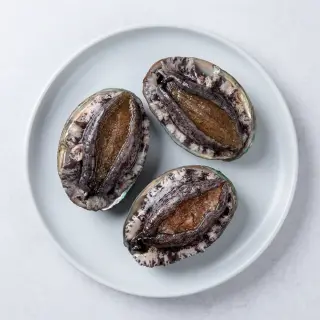 완도 활전복, 특대, 81g, 10미