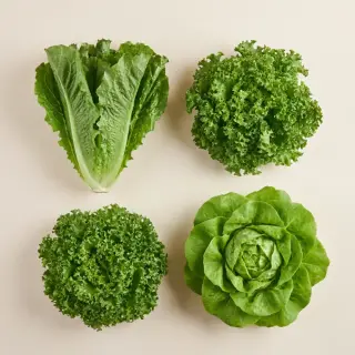 마켓상상 유러피안 샐러드, 3-4종 랜덤, 1kg, 1박스