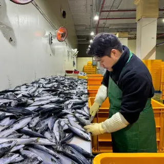 국내산 중사이즈 자반 고등어, 10마리, 2.8kg 내외, 1세트