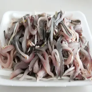 [26년 첫출하] 제철 활전어회 세꼬시 순살 필렛