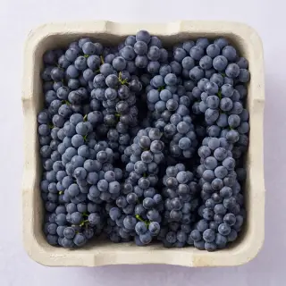 탐나유 캠벨포도, 2kg, 1개