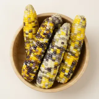 무한상사 냉동삶은옥수수, 2kg 내외, 1박스
