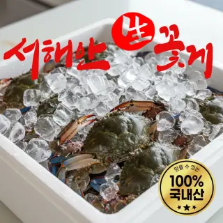 어부의뜰 국내산 생물 활 숫꽃게 가을 꽃게