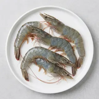 국내산 횟감 활 흰다리새우, 1kg, 1팩