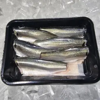 당일조업 통영 전어구이 500g 횟감용 필렛 새꼬시 세꼬시
