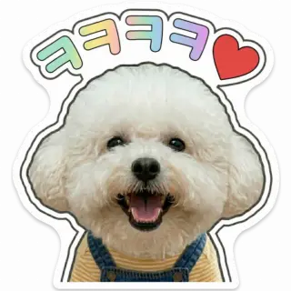 [02835] 서리 ㅋㅋㅋ 스티커