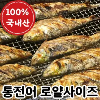 [당일바리] 생물 통 전어 구이용